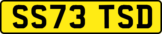 SS73TSD