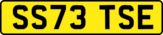 SS73TSE