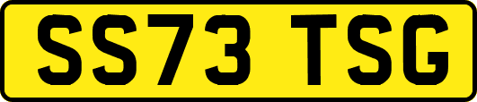 SS73TSG