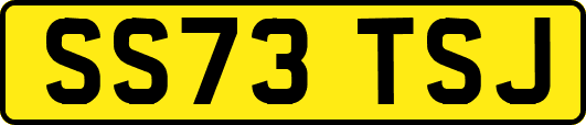 SS73TSJ