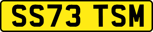 SS73TSM