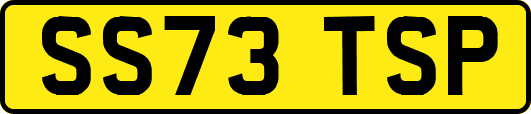 SS73TSP