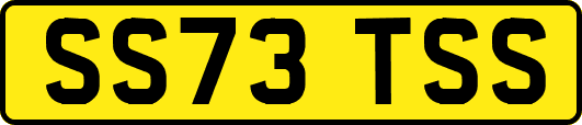 SS73TSS