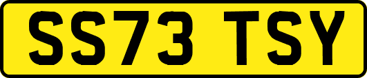 SS73TSY