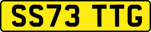 SS73TTG