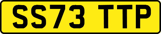 SS73TTP
