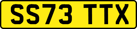SS73TTX