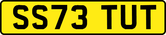 SS73TUT