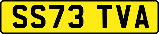 SS73TVA
