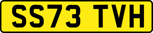 SS73TVH