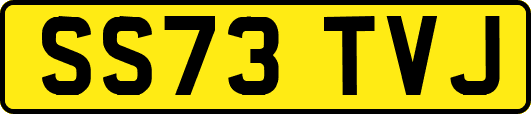 SS73TVJ