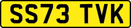 SS73TVK