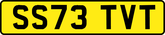 SS73TVT