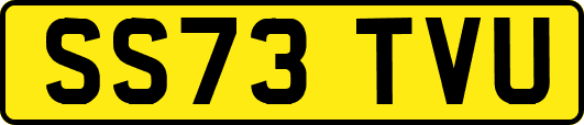 SS73TVU