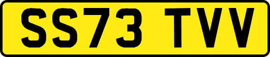 SS73TVV
