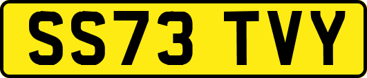 SS73TVY