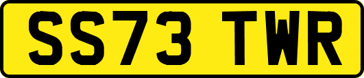 SS73TWR