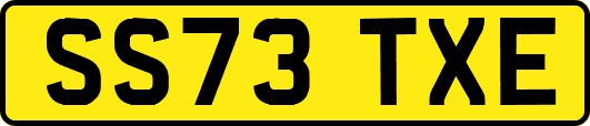 SS73TXE