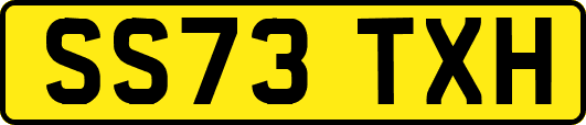 SS73TXH