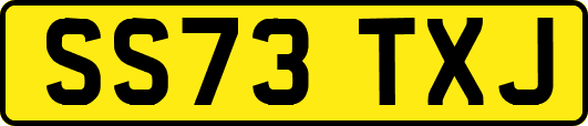 SS73TXJ