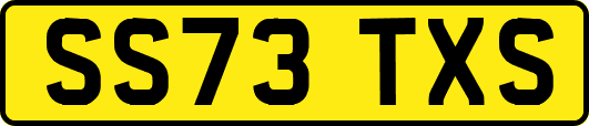 SS73TXS