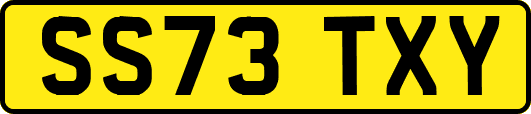 SS73TXY