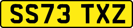 SS73TXZ