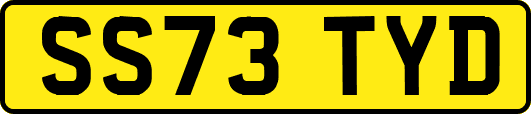 SS73TYD
