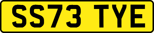 SS73TYE