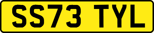 SS73TYL