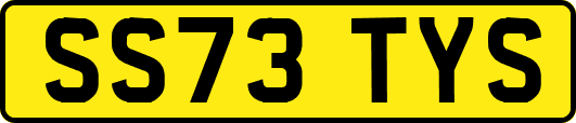 SS73TYS