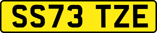 SS73TZE