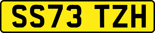 SS73TZH