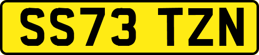 SS73TZN