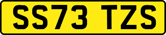 SS73TZS