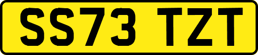 SS73TZT
