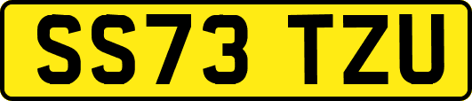 SS73TZU