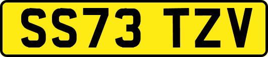 SS73TZV