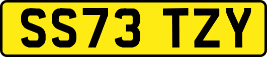 SS73TZY