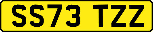 SS73TZZ