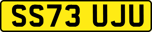 SS73UJU