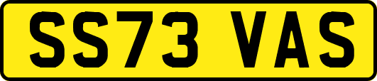 SS73VAS