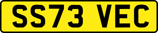 SS73VEC
