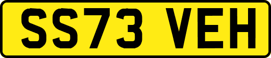 SS73VEH