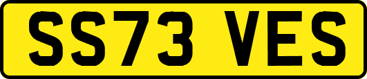SS73VES