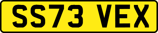 SS73VEX