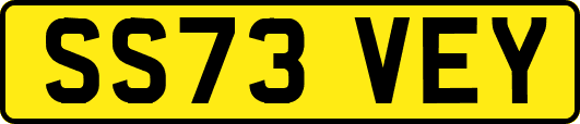SS73VEY