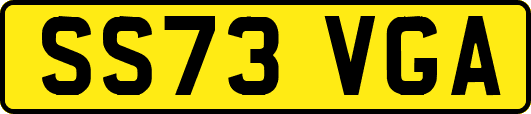 SS73VGA