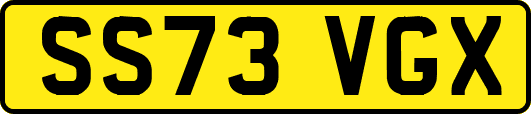 SS73VGX