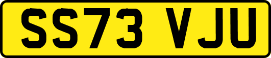 SS73VJU